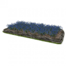 Lobelia Flower Bed, Stone